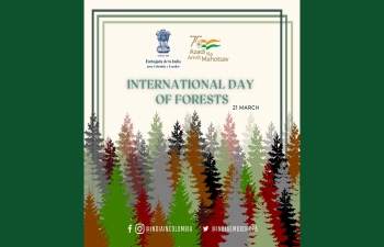 Día Internacional de los Bosques 2022